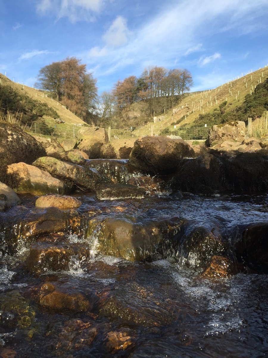 Sauntering up a babbling beck today in the afternoon sunshine 🙂
#YorkshireDales #Arngill #WinterSunshine