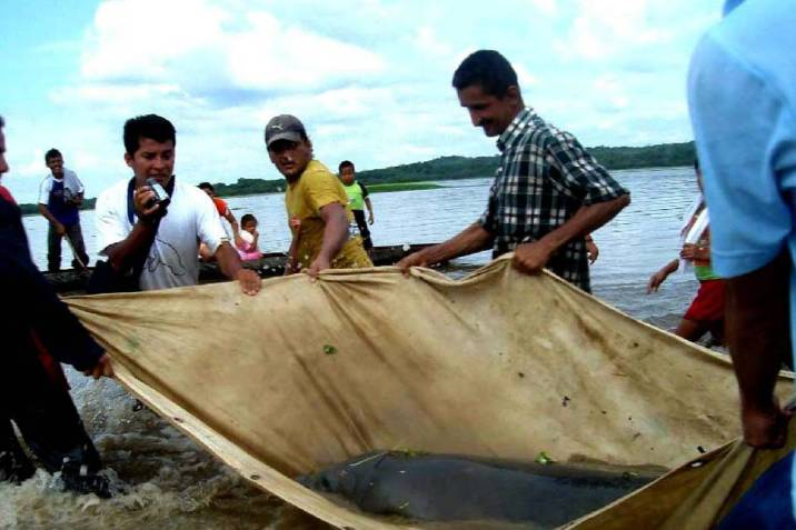 CarlosSantiagoL's tweet photo. Las personas de la zona nos envían material con sus denuncias: "Si autorizan las pruebas piloto de fracking, esa gente, que es mi familia, serían los principales afectados. Viven es de la pesca, imagínate la situación por lo que ya están pasando con esta sequía" #SOSManatíes https://t.co/zJAGOlrykE