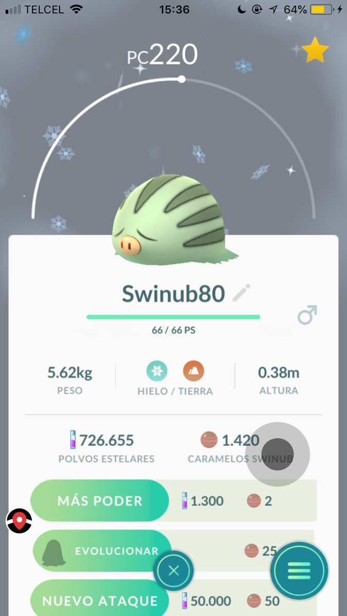 Mary_owo's tweet image. Yaaas 🐽🐽 #pokemon #pokemongo #comunityday #comunitydaypokemongo #mamoswine #swinub #swinub🐽 #shiny #variocolor #piloswine #piloswine🐽