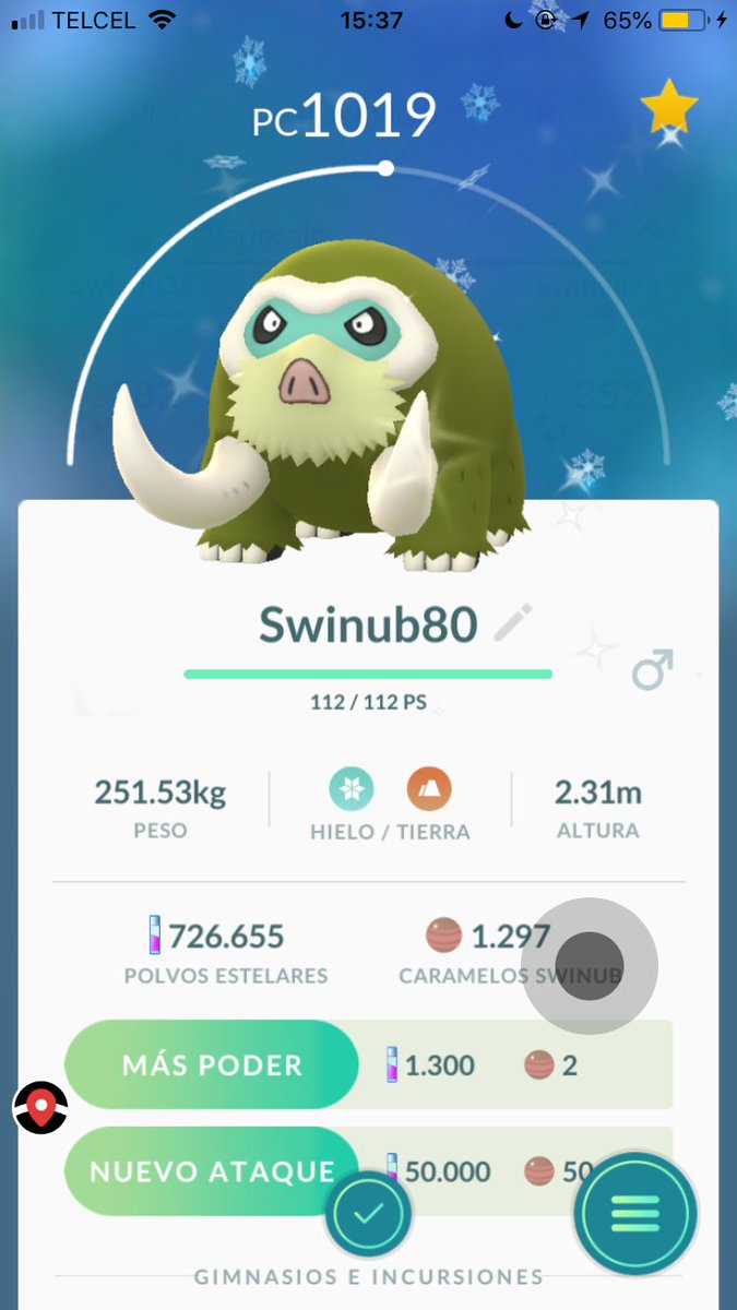 Mary_owo's tweet image. Yaaas 🐽🐽 #pokemon #pokemongo #comunityday #comunitydaypokemongo #mamoswine #swinub #swinub🐽 #shiny #variocolor #piloswine #piloswine🐽