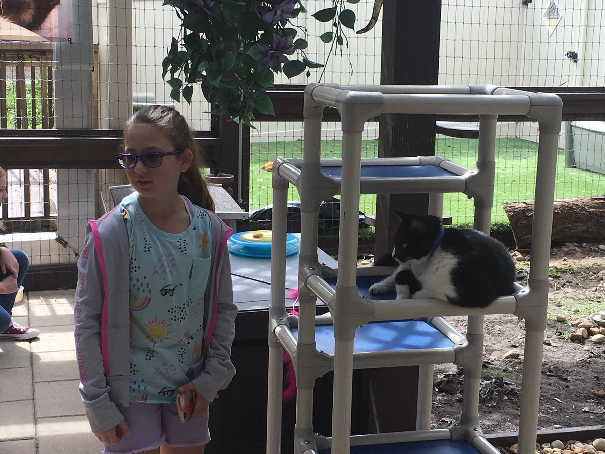 WilsonMSLibrary's tweet image. Wilson SADD students visit the Humane Society for a tour to kick off our Humane Society drive! More info about how you can help coming this week.