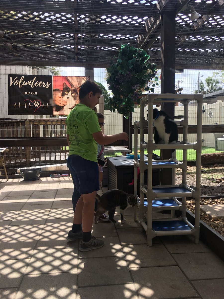 WilsonMSLibrary's tweet image. Wilson SADD students visit the Humane Society for a tour to kick off our Humane Society drive! More info about how you can help coming this week.