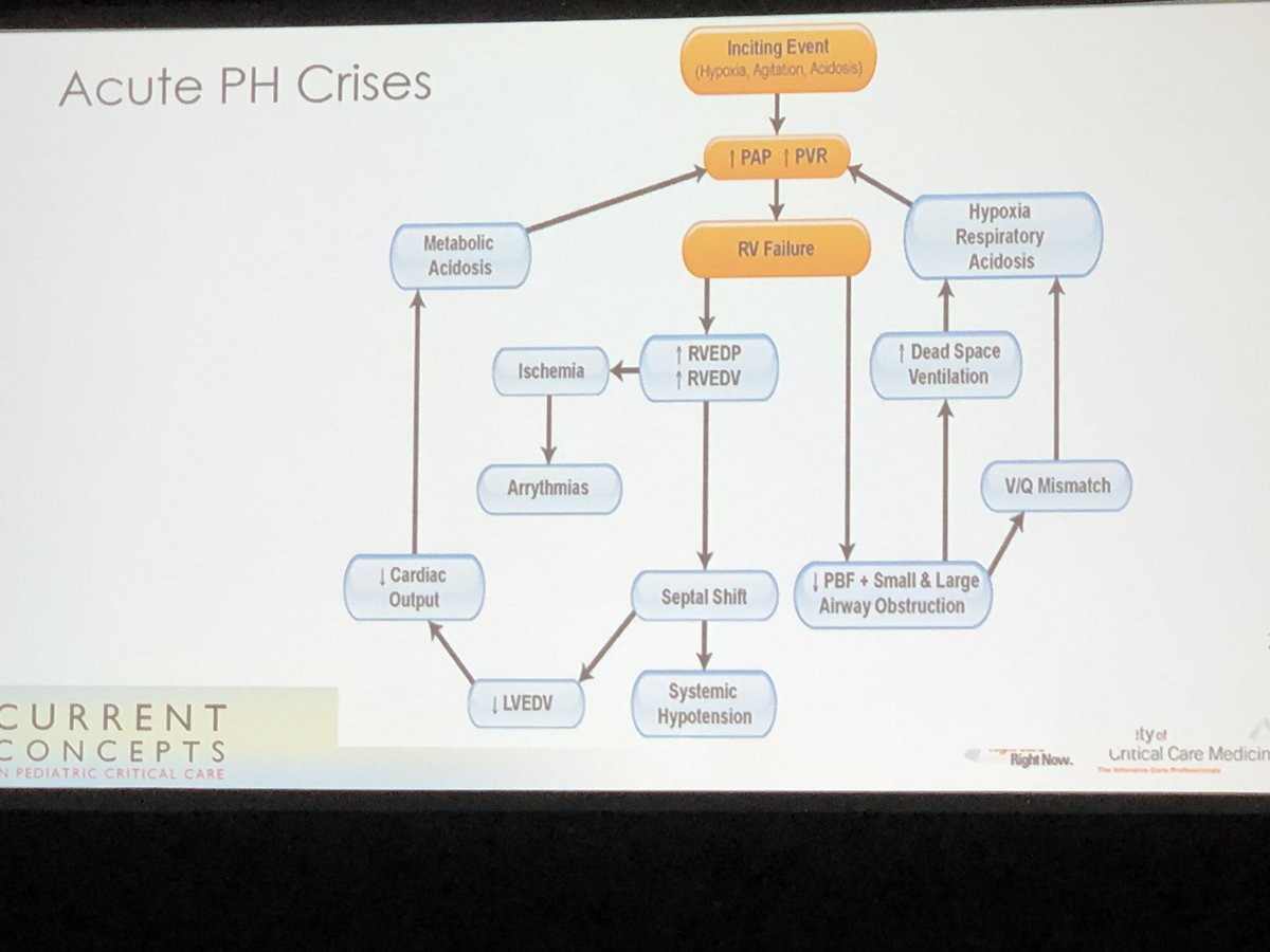 UCSD PICU Fellows (@ucsd_picu) on Twitter photo Incredible talk from a PHTN guru (Dr. Fineman) #pedsICU #CCC48 Ohm’s Law!! Incredible talk from a PHTN guru (Dr. Fineman) #pedsICU #CCC48 Ohm’s Law!!
