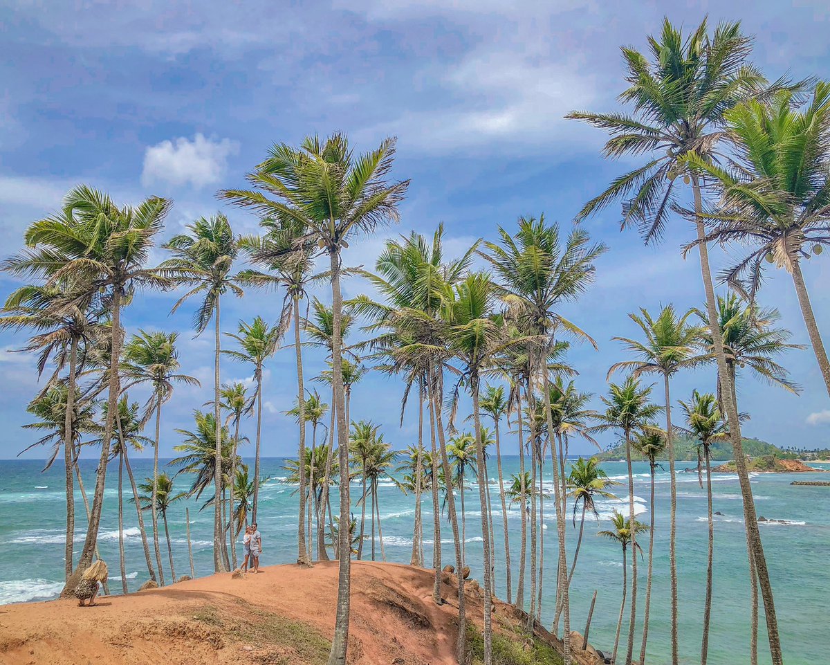 pasindum93's tweet photo. #traveltosrilanka #beautyofsrilanka #travel #nature #srilanka #asia #beach #seaside #wanderlust #goexplore #colors #sky #ocean #sea #blue #beautiful #amazing #minimal #tourist #mirissa #blog #blogger #travelblogger #foodblogger #traveller #naturelovers #travelphotography https://t.co/azrbN6erPl