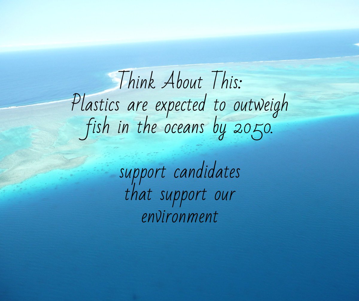 Photo by Katharine
Fiji 2012