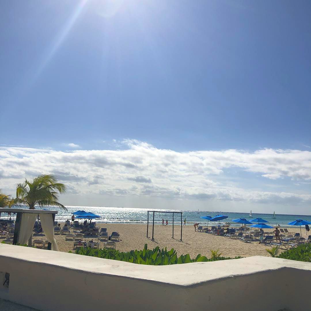 The Reef Playacar tweet media