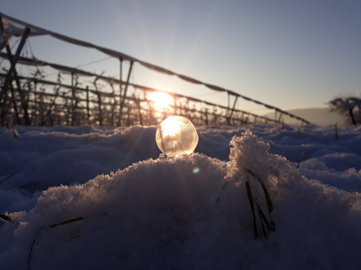 Frozenbubble. #Winter #Wintermorning

@StormHour