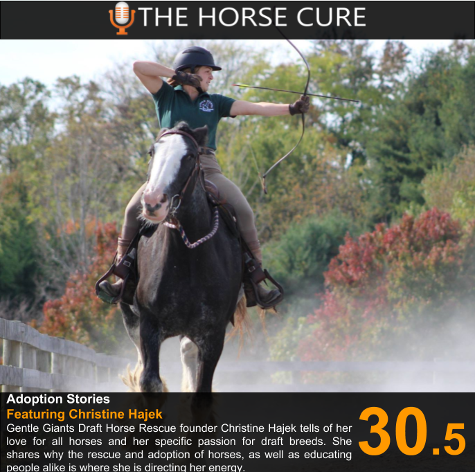 horsecurepod's tweet photo. Check out the latest episode in our Adoption Stories series at https://t.co/m6Lsm2Jox5. #GentleGiantsDraftHorses #TheHorseCure #AdoptionStories #HorseRescue #GentleGiants #DraftHorses #HorsePodcast #HorsesInTransition #TheRightHorse https://t.co/D8r9UIVv0E