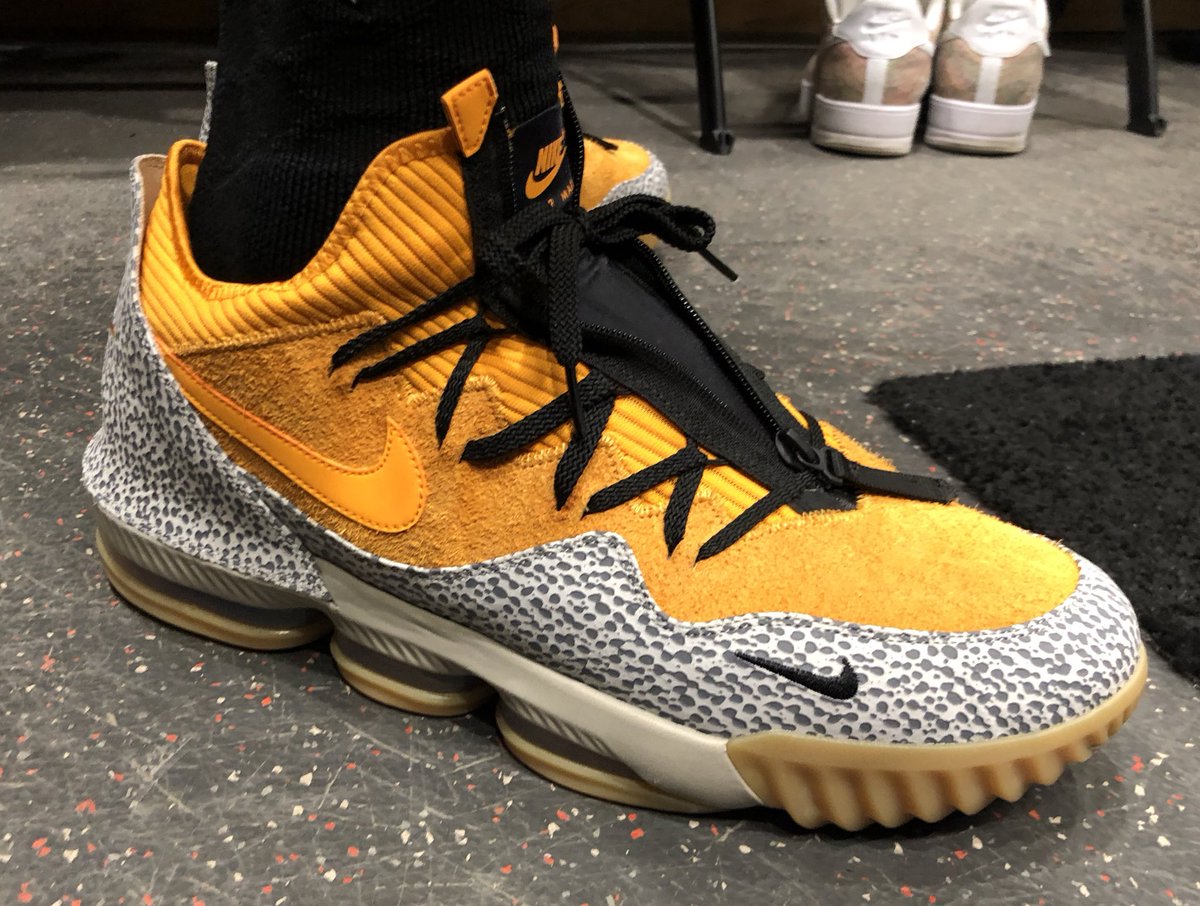 safari 16 lebron