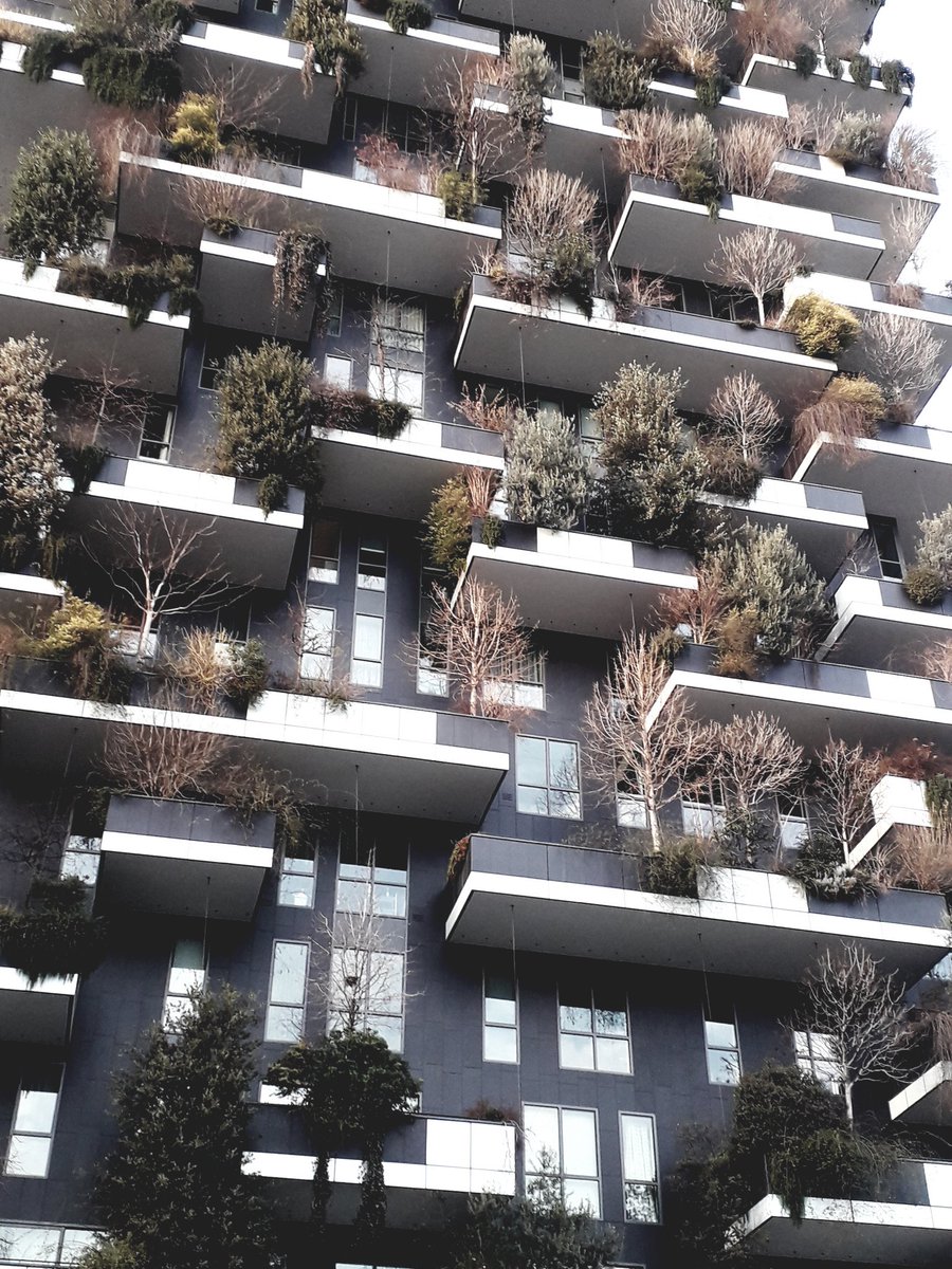 blue_river15's tweet photo. #boscoverticale🌱🌿 #boscoverticalemilano #milano #boeristudio #piazzagaeaulenti https://t.co/JpajBFWAiP