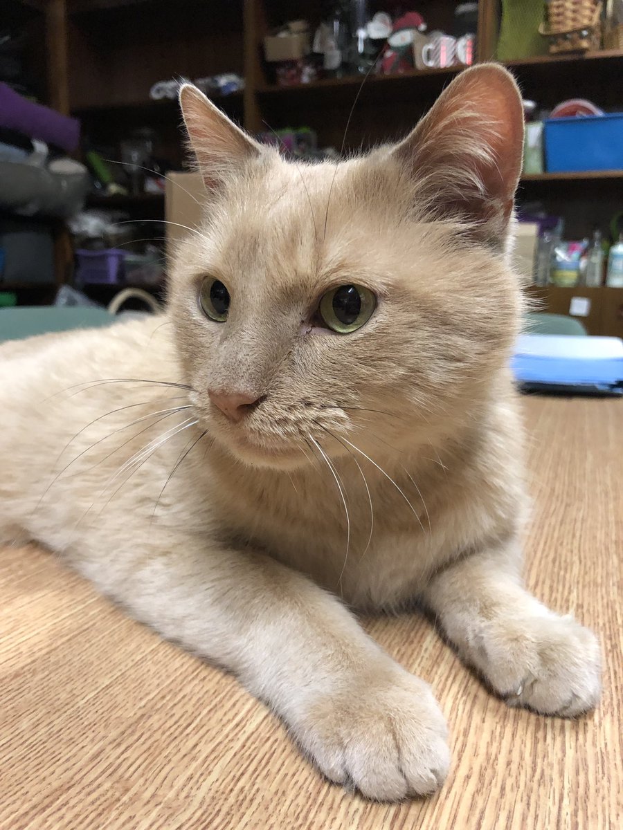 Jeff Haag tweet media