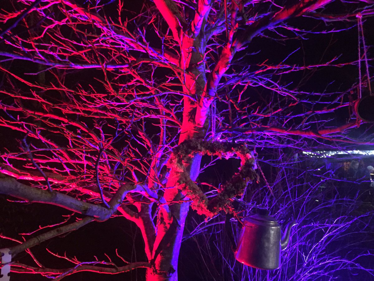 Jo Oates tweet media