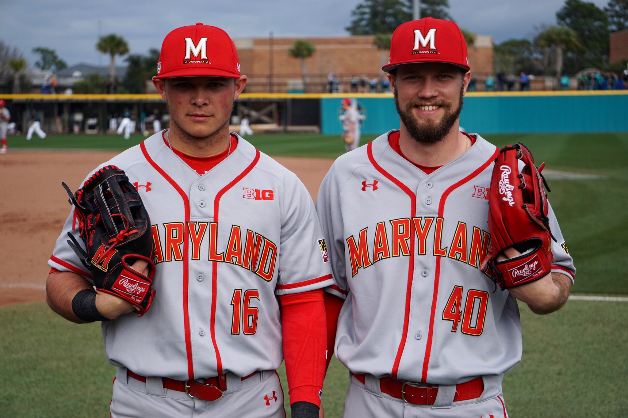 Terrapins baseball gear