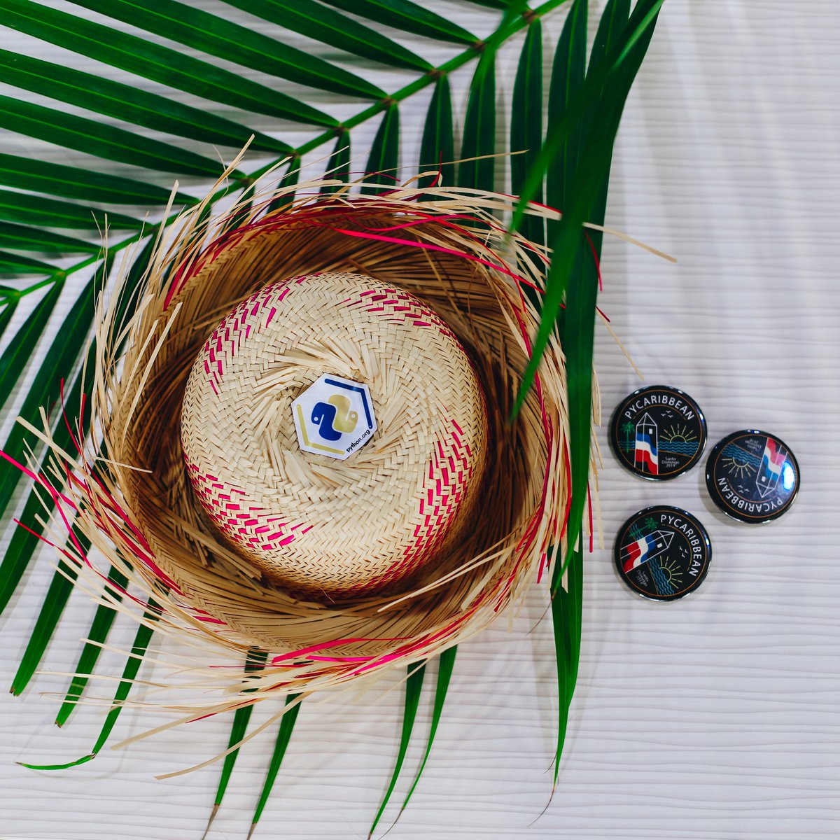 Your support has been unconditional and essential in order for #PyCaribbean to come to fruition, we deeply thank you for your patronage. <a href="/ThePSF/">Python Software Foundation</a>