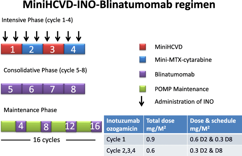 miniHCVD-INO-blinatumomab regimen for acute lymphoblastic leukemia. doi.org/10.1186/s13045…