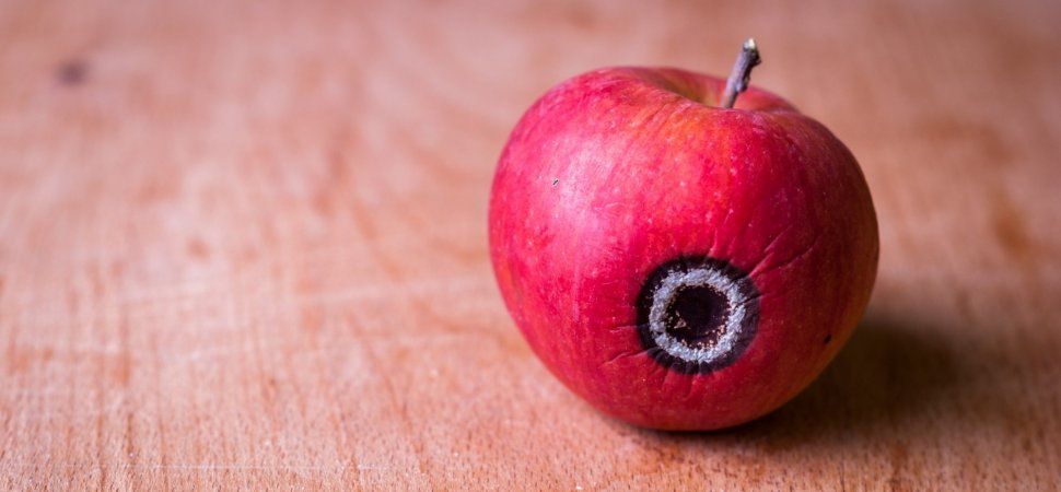 FixMyPot's tweet image. Motivational Weed - Google Search buff.ly/2SEglyt: