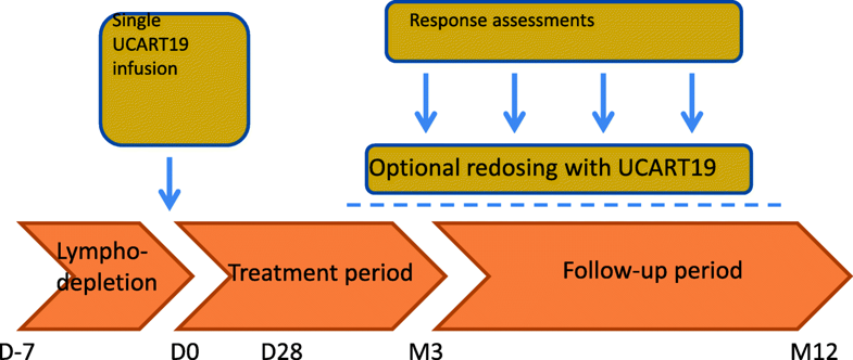 Universal CAR T trials, PALL and CALM, revealed very mild GVHD (grade I). doi.org/10.1186/s13045…