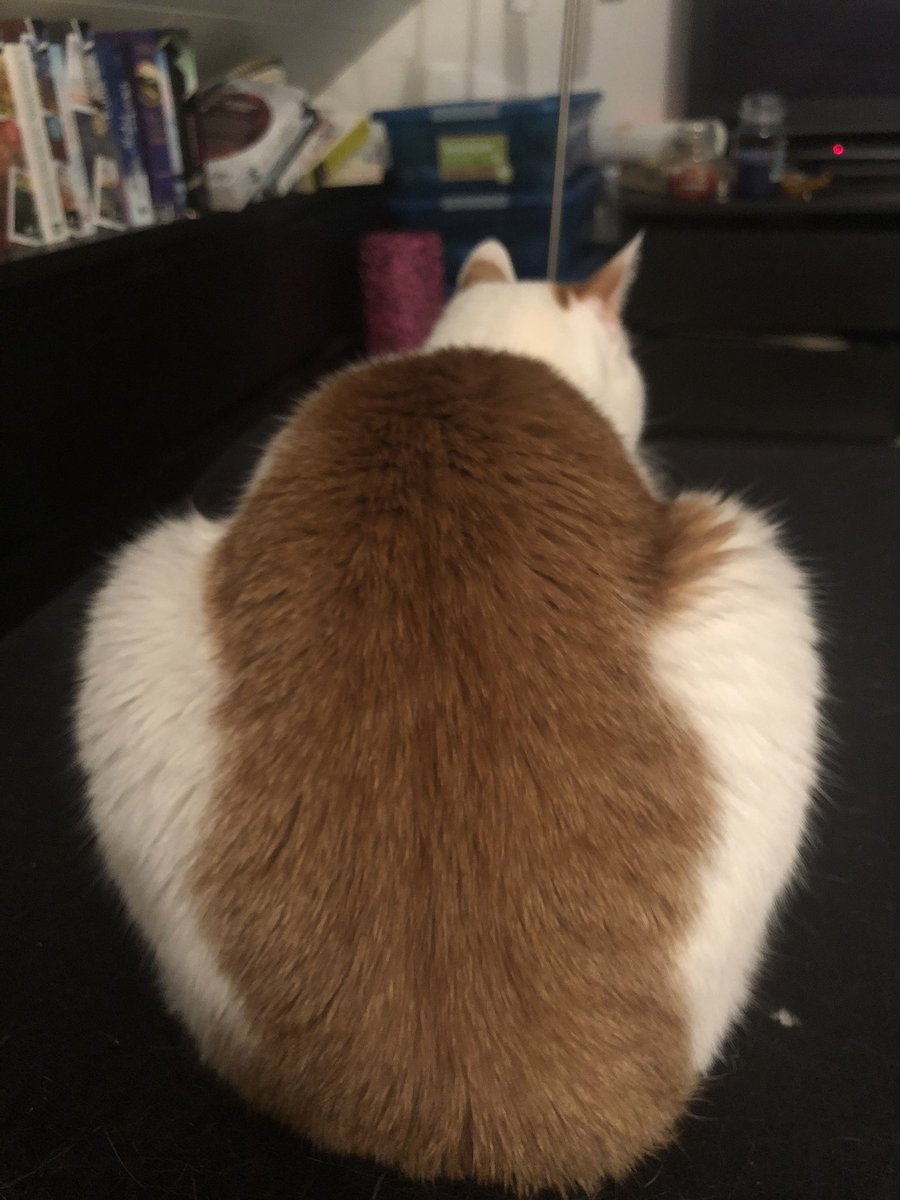 Ich weiß nicht warum, aber irgendwie wirkt er beleidigt. Was hab ich bloß jetzt schon wieder falsch gemacht 😱🤷🏼‍♀️😂