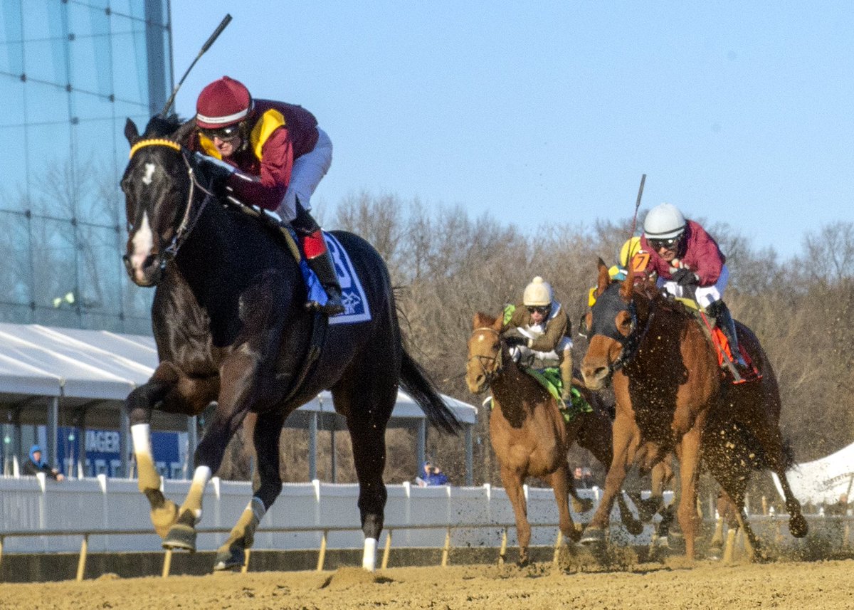 LaurelPark's tweet image. #Uncontested and @trevormmccarthy take down the competition and conquer the #GeneralGeorge Stakes! #LaurelPark🏁