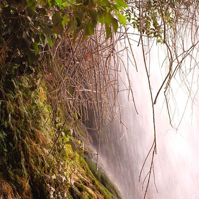 Bajo la cascada. Under the waterfall
#landscape #landscapephotography — view on Instagram https://scontent.cdninstagram.com/vp/019bd62cfc9f428648c87575d0707161/5CFAB11F/t51.2885-15/sh0.08/e35/s640x640/52153128_377747073024886_379864702531796559_n.jpg?_nc_ht=scontent.cdninstagram.com …