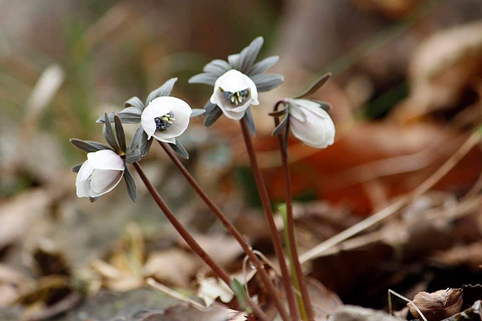 세상은
항상 내마음대로 풀리지
않으니 
마땅찮는 일 있어도 
세상은 다 그렇다고 하고 
살면 됩니다.
다정했던 사람 
항상 다정하지 않고,
헤어질수도 있습니다.
온것처럼 가는 것이니
그러려니 하고 살면 됩니다.
-김수환-