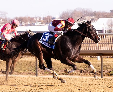 BH_AEberhardt's tweet image. A G3 combo @laurelpark as #Uncontested + @Trevormmccarthy take the #GeneralGeorge and #LateNightPowWow with Freddy Peltroche wins the #BarbaraFritchie
1st SW for trainer Jennifer Patterson! Owners LaPenta/Rosenblum and Breeze Easy. Jim McCue/MJC Photos. More from @BH_JBalan