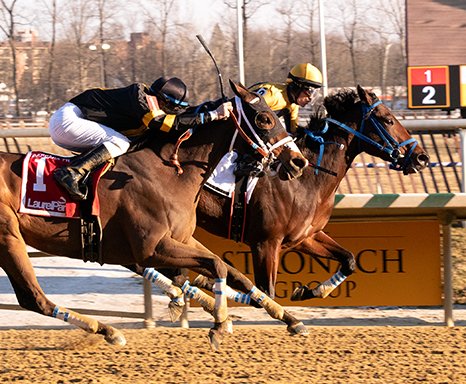 BH_AEberhardt's tweet image. A G3 combo @laurelpark as #Uncontested + @Trevormmccarthy take the #GeneralGeorge and #LateNightPowWow with Freddy Peltroche wins the #BarbaraFritchie
1st SW for trainer Jennifer Patterson! Owners LaPenta/Rosenblum and Breeze Easy. Jim McCue/MJC Photos. More from @BH_JBalan