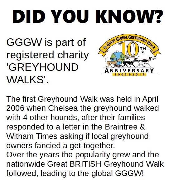GG Greyhound Walk (@gggw2017) on Twitter photo 