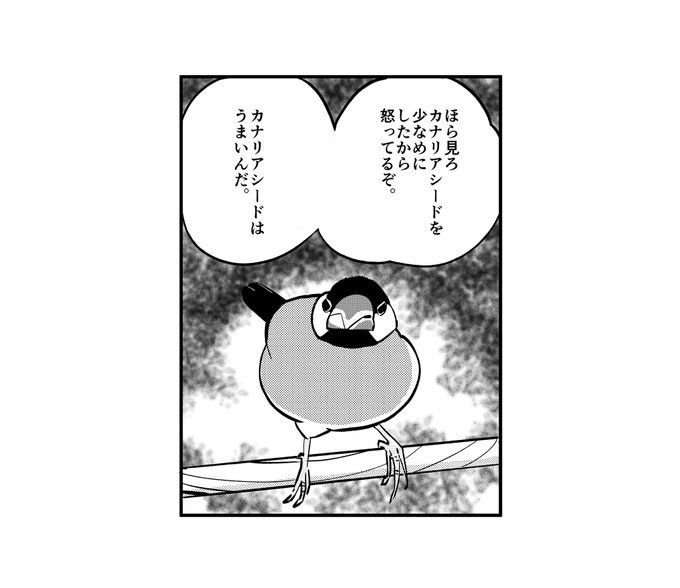 一コマ文鳥 を含むマンガ一覧 古い順 ツイコミ 仮 一コマ文鳥 を含むマンガ一覧 古い順 ツイコミ 仮