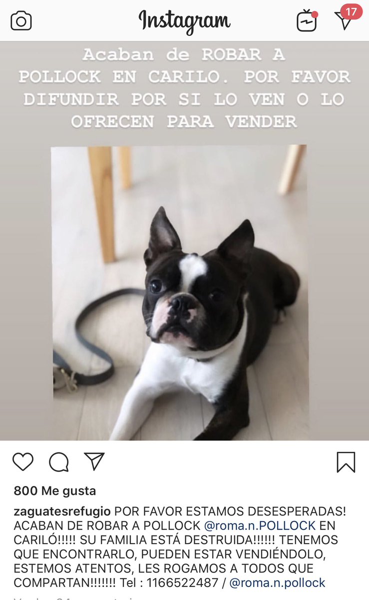 East Boston YMCA (@ymca_eastboston) · Boston, MA, image size:739x1200