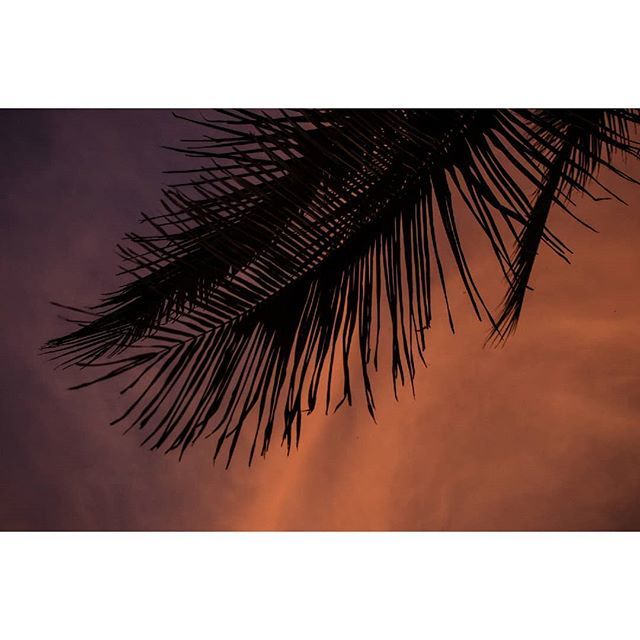 Xchtlpn's tweet photo. Mazunte
-
#Oaxaca #Mexico #Mazunte #Playa #Beach #Beachlife #TravelPhotography #colorphotography #MexicoInsideOut #minimal https://t.co/yuEUvOVOuI https://t.co/xUpWtkrkXJ