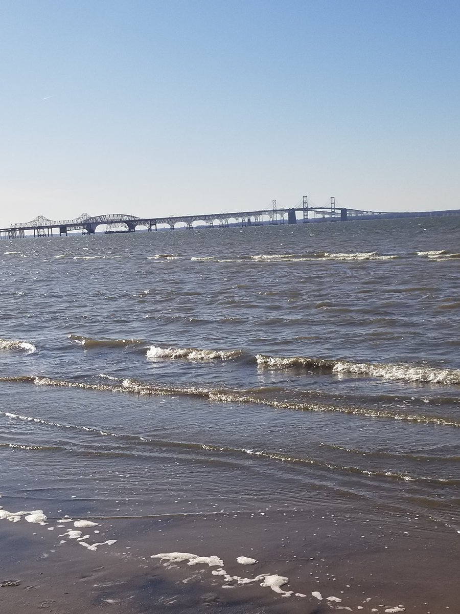 CPExploration's tweet image. Had some great views of the Bay Bridge last Saturday when we were out exploring Chessie's habitat. #Cryptozoology 

google.com/amp/s/www.wbal…