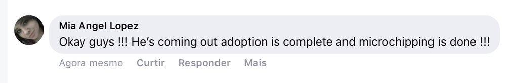 PJmiekidzandi's tweet image. 😃😂💗🐶SAVED - #ADOPTED !!!  He IS FREE from the hells of #PVACTX!!!  ...  Thank you Mia Lopez for saving him. 💞