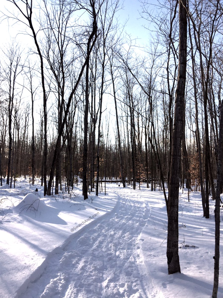 Swatch And Learn tweet media