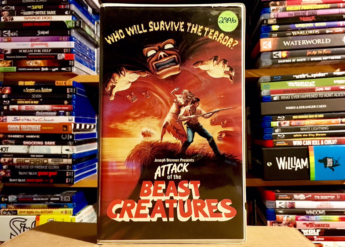 CinemaArcana's tweet photo. ATTACK OF THE BEAST CREATURES
(Michael Stanley, 1985)
World Video Pictures, Inc. 

#VHSaturday #VHS #NotOnDVD #attackofthebeastcreatures #hellisland #michaelstanley #robertnolfi #juliarust #wtfmovies #horrormovies #cultclassics #nightmareusa #worldvideo #horrorvhs https://t.co/UO0GCm4HjN