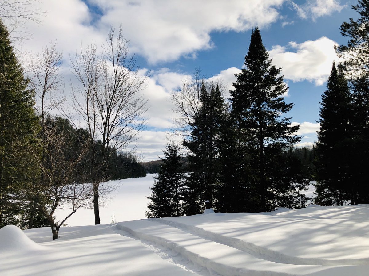 Liberty Nice Day Crisp Air Playing In The Snow With The Kids At My Parents Place Hope You All Are Having A Good Weekend Guys And Gals T Co Inv7txgbqi