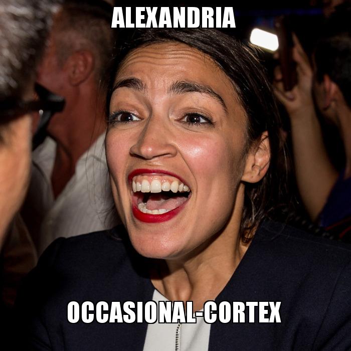 alexandria occasional cortex