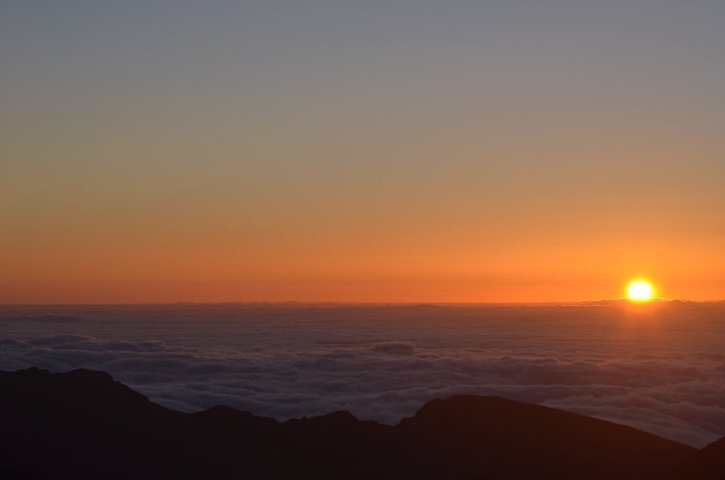 potterjc29's tweet photo. @Austin_James74 Sunrise over the clouds in HI https://t.co/Q8gH0iFet1