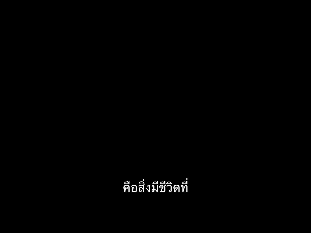 ชีวิตติดซับ tweet media