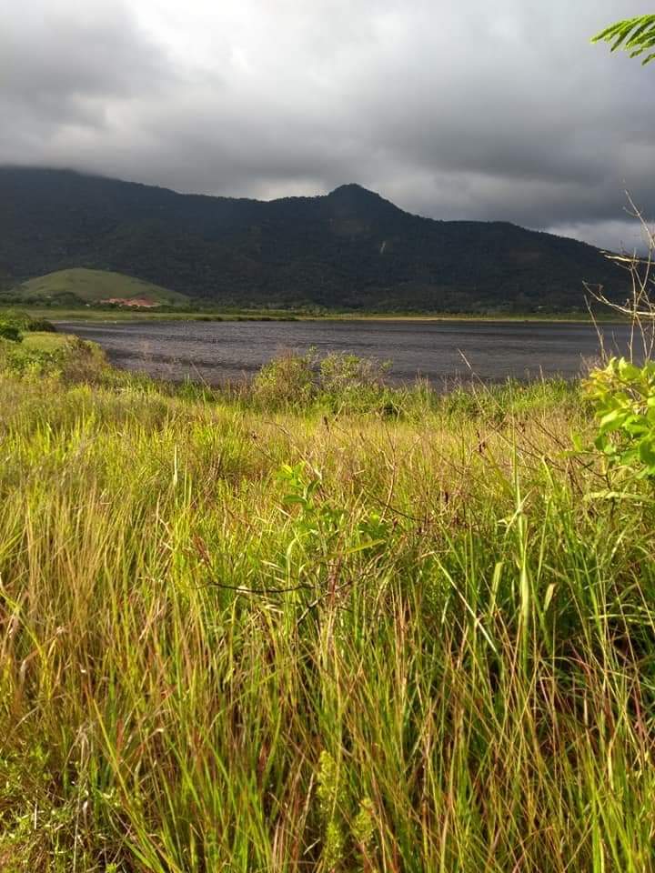 LAGOA DE JARDIM JACONÉ EM MARICÁ  ,LINDO PARAISO PRECISANDO DE REVITALIZAÇÃO 
#MARICÁ  #MAISPERTODEVOCE  #MARICARNAVAL2019