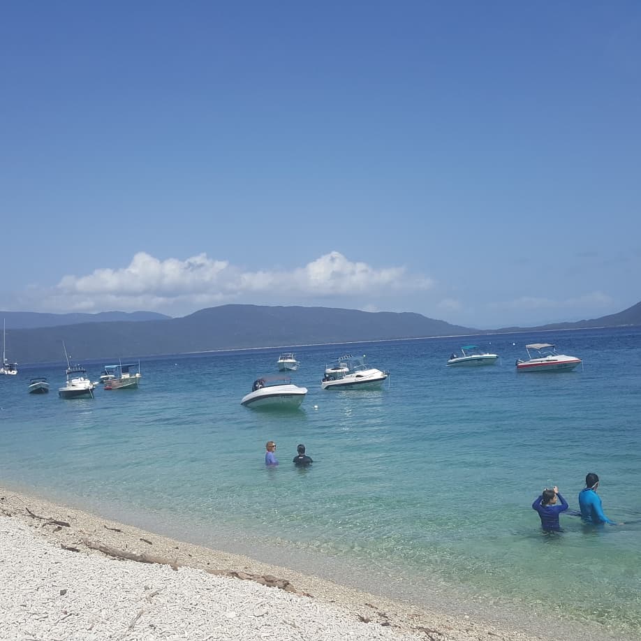 ShaneFitts's tweet photo. Fitzroy Island
Turtle rehab and snorkeling. 
#sasedu 
#interim2019 
#SASbarrierReef2019 https://t.co/HPdbnFwl5M