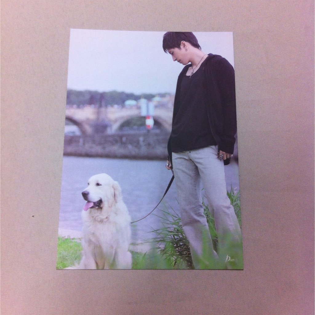 Thread over, I've found the best Gackt merch ever. Nothing can possibly top a photo of Gackt with a dog. I'm done.