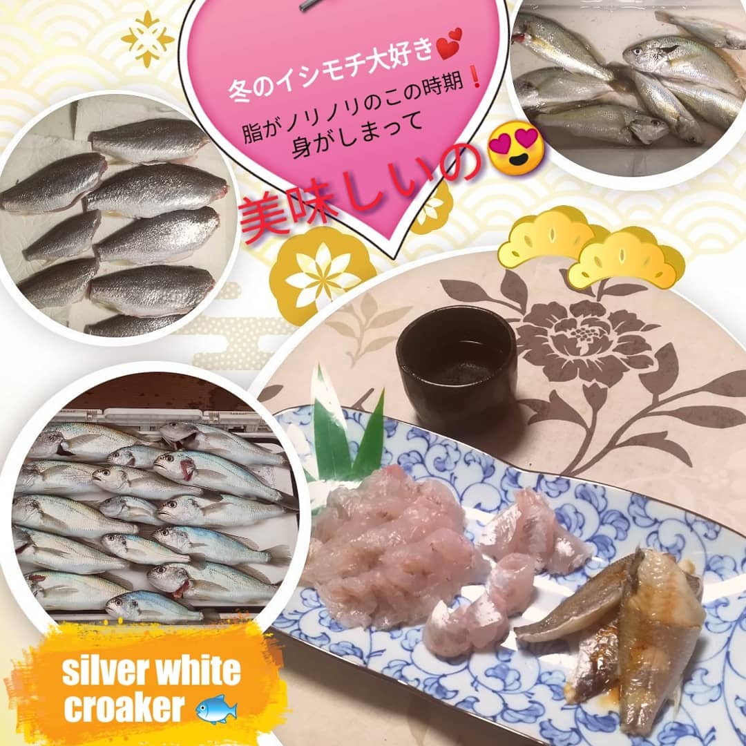 イシモチ釣り イシモチ釣り