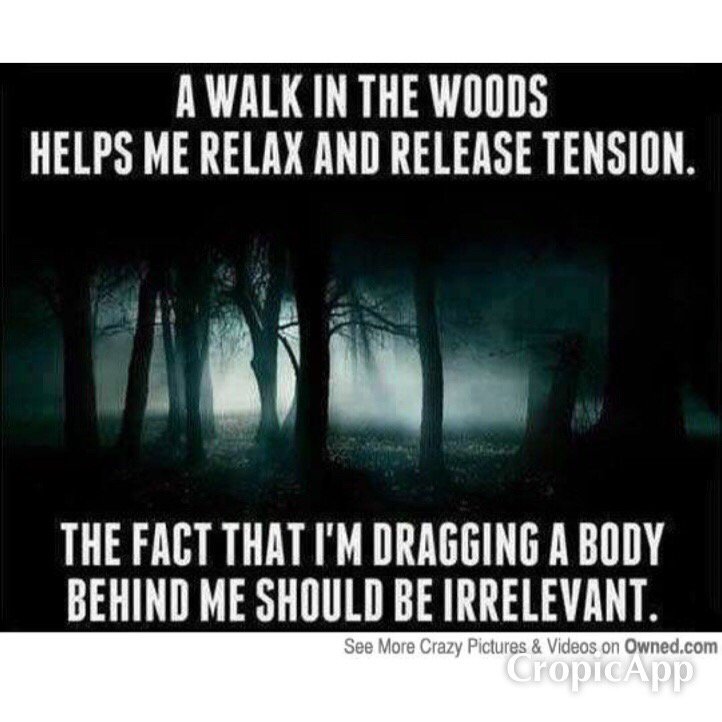 HuggerMuggerSC's tweet image. Who wants to go for a stroll?