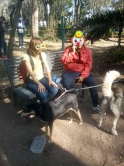 View image on Twitter