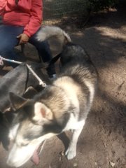 View image on Twitter