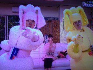 ペットのpちゃん