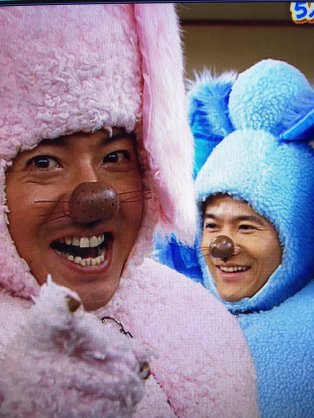 ペットのpちゃん