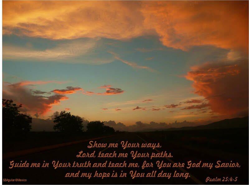 호주에 전세계의 눈이 향한 이유?!
방탄소년단도 부를 수 없는 천상의 새 노래~
호주 수료식에서 확인하세요!
scj.so/grad0217ko
#신천지호주수료식 #호주 #베드로지파수료식 #신천지는세계로