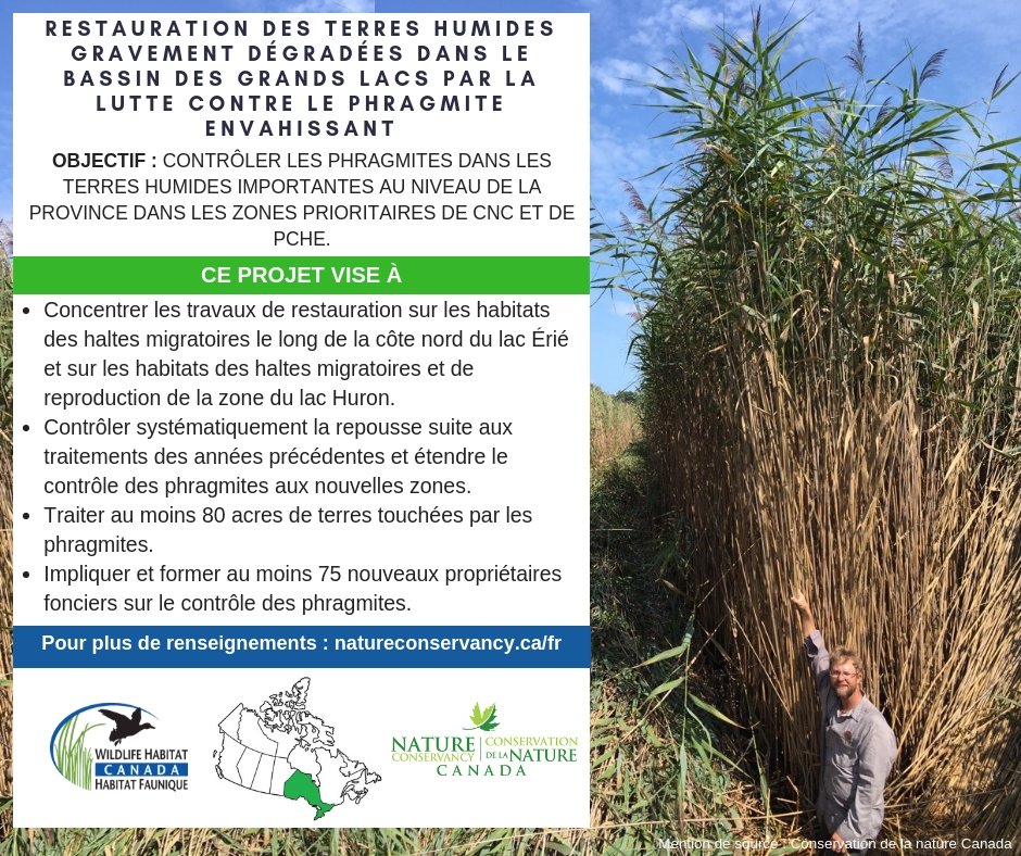 WildlifeHCanada's tweet photo. This year, WHC is providing a grant to @NCC_CNC for the following project - - #conservation #grants #whcstampmeans // Cette année, HFC accorde une subvention a @NCC_CNC pour le projet suivant - - #subventions #rôleduTimbreHFC https://t.co/37NYCQgc4t